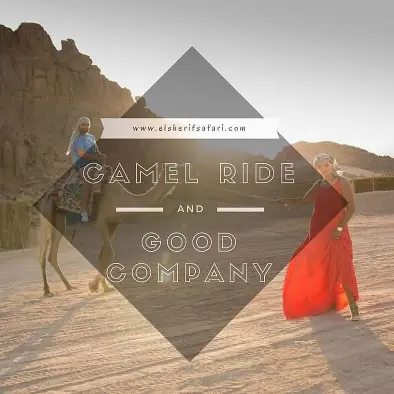 Camel Riding In Desert