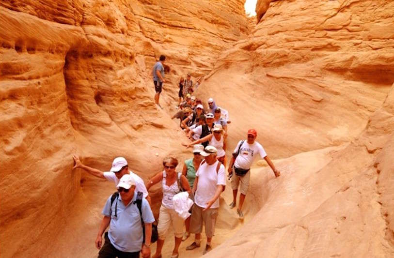 Family& Fun tours
